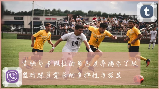 艾顿与卡佩拉的角色差异揭示了联盟对球员需求的多样性与深度